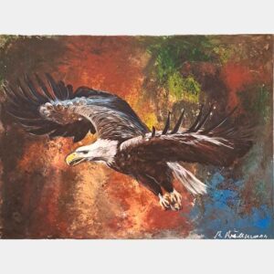 Seeadler - 80x60cm
