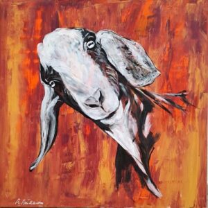 Geiss in rot - 80x80cm
